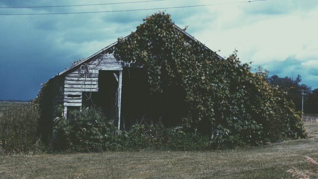 Fazenda em Minnesota